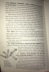 Any Witches Here Part 4 [Edited by MNHQ]