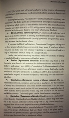 Any Witches Here Part 4 [Edited by MNHQ]