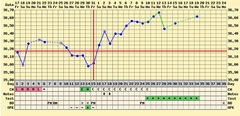 BBT chart, help I have no idea 🙄