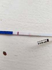 Help! Ttc tests