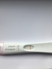 Come and lend me your eyes! (Bloomin’ FRER again)