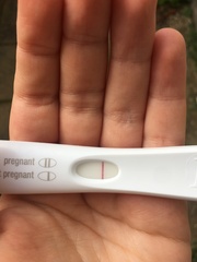 Come and lend me your eyes! (Bloomin’ FRER again)
