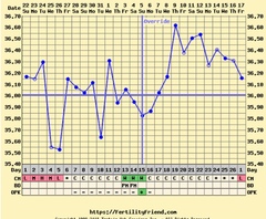 BBT chart, help I have no idea 🙄