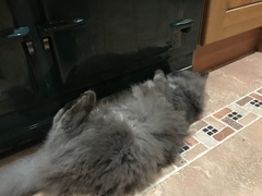 To ask is an Aga worth it?