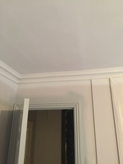 F&B ammonite in hallway?