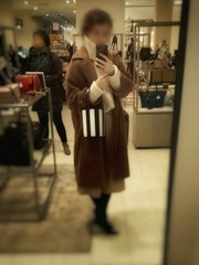 Les Parisiennes de Mamansnet: Orangutans in Paris make for poor gondoliers