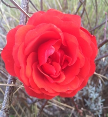 Any Witches Here Part 4 [Edited by MNHQ]