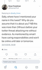 Sally Hines accuses Professor Rosa Freedman of being mean on Twitter
