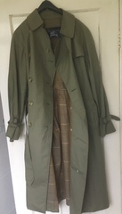 Les Parisiennes de Mamansnet: Orangutans in Paris make for poor gondoliers