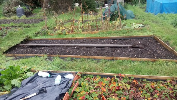 Allotment?Veg Patch Thread 13! Are we weathering the weather?