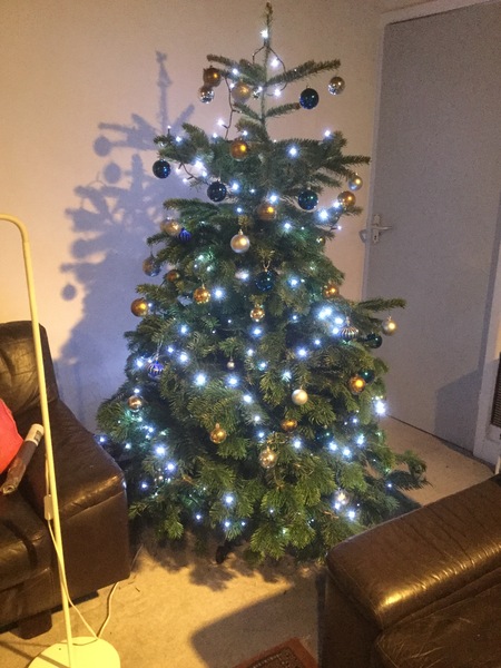 Westminstenders: Dear Santa for Christmas I'd like...