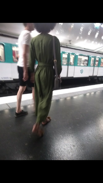 Les Parisiennes de Mamansnet: Orangutans in Paris make for poor gondoliers