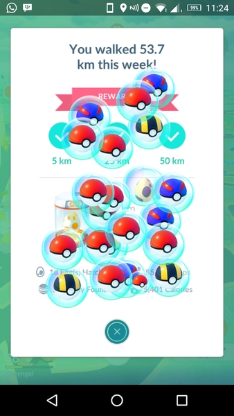 PokemonGo #20. There's a Ratatta in my kitchen, chuck a ball at it.