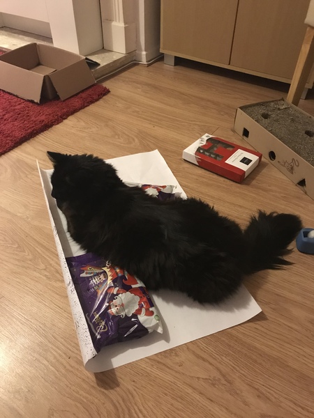Anyone else’s not the least bit bothered about the tree?