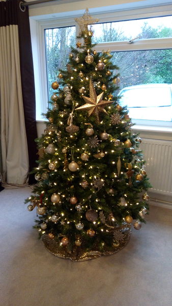 Lets see your trees 2018!