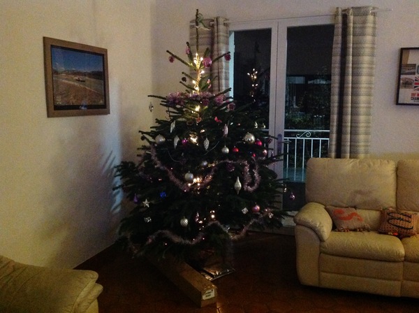 If you already have your tree up can I see it please?