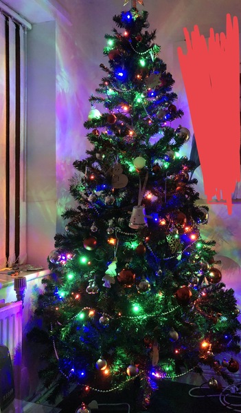 I have tree envy :-(