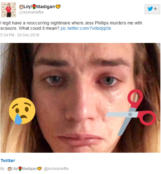 Lily Madigan and the School Saga