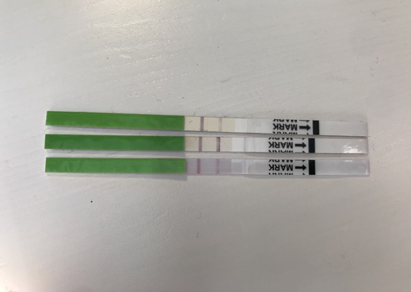 Positive Ovulation tests?