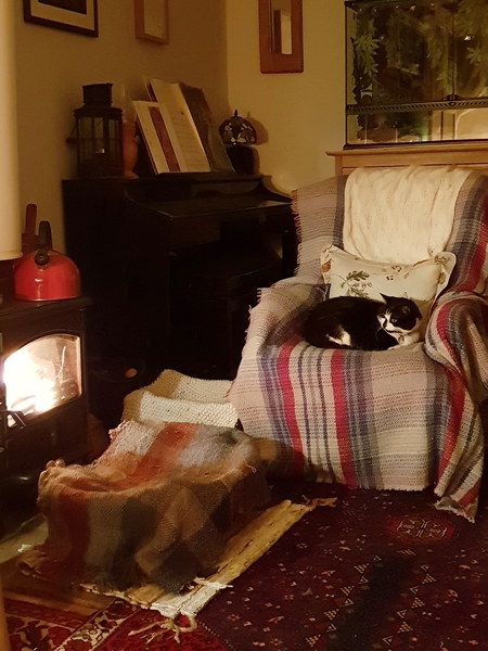 Can we have Show Us Your Sitting Room thread please?