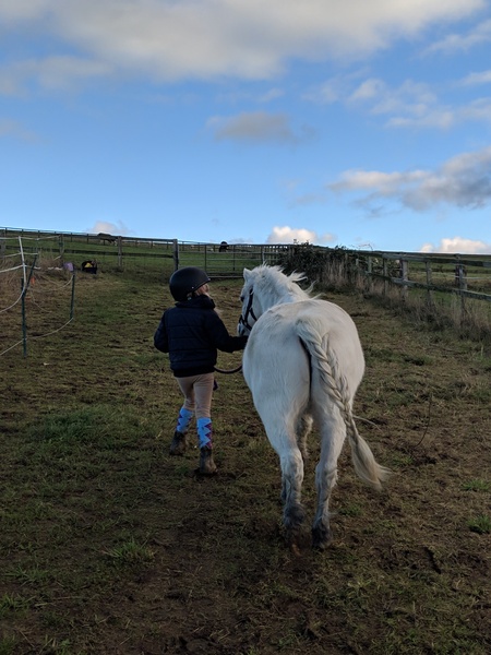 Can we have a pony picture thread?