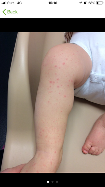 Decedantly damcing towards December - frugaleering Christmas ahoy!