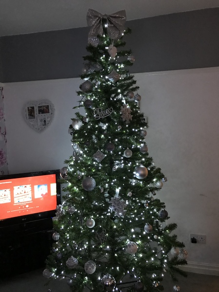 If you already have your tree up can I see it please?