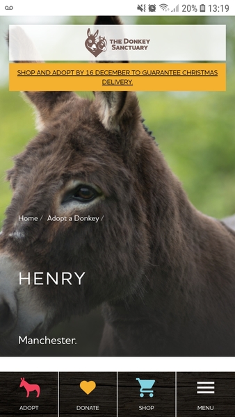 Can anyone find me a donkey teddy please?