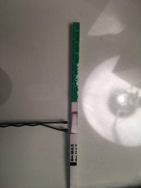 CAN YOU GUYS SEE IT?!?!