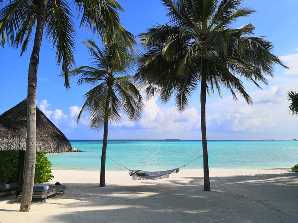The want to go abroad next Christmas?