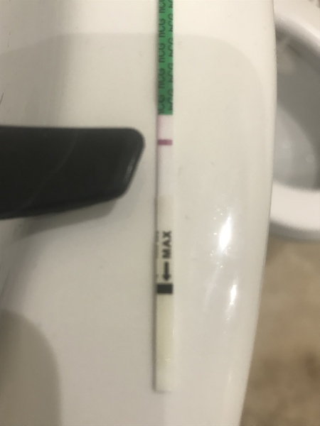 Positive pregnancy test? HELP