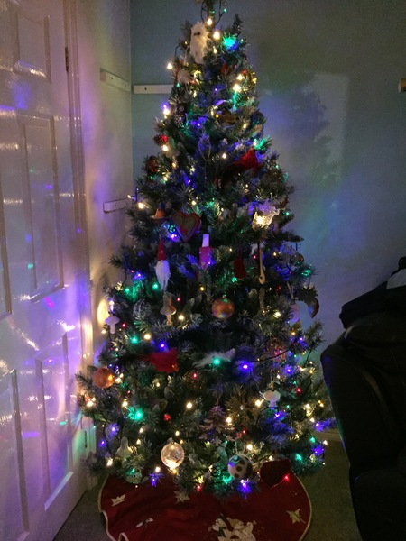 Lets see your trees 2018!
