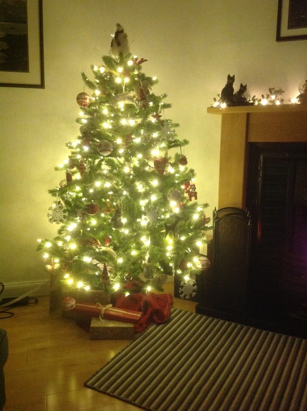 If you already have your tree up can I see it please?