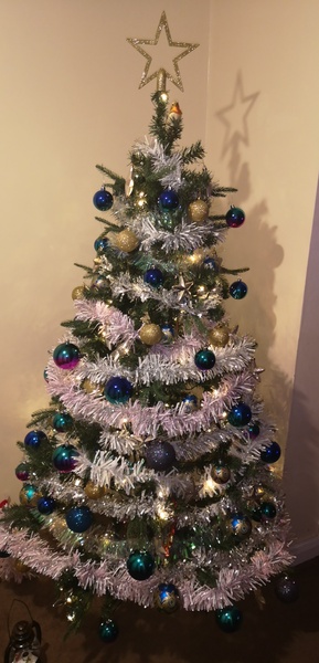 If you already have your tree up can I see it please?