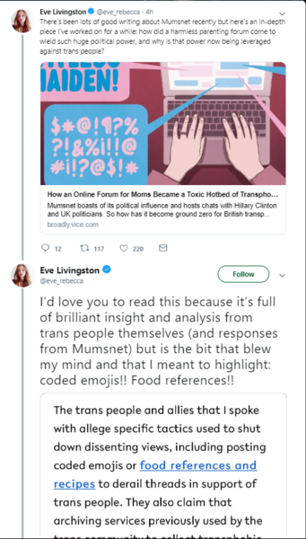 Vice: how an online forum for moms became a toxic hotbed of transphobia