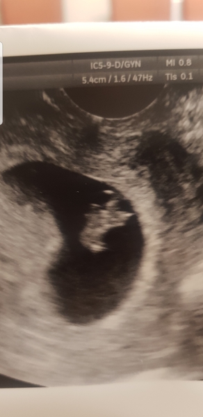 August 2019 Babies, part 2!