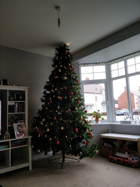 If you already have your tree up can I see it please?