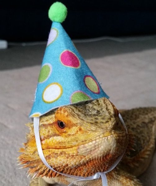 My skin is so dry I’m transforming into a lizard