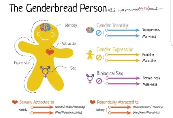 Can someone explain what "genderqueer" means?