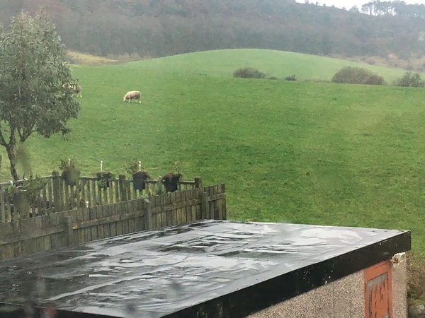 Festive frugaleers saving through to the new year!