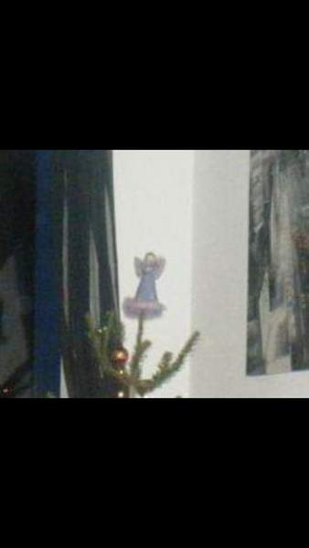 I have tree envy :-(