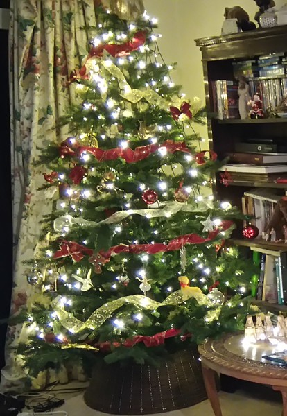 If you already have your tree up can I see it please?