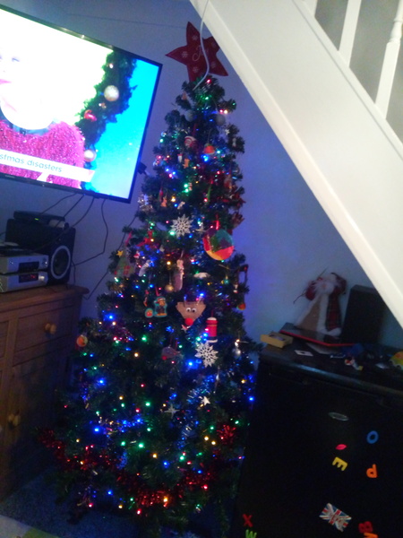 If you already have your tree up can I see it please?