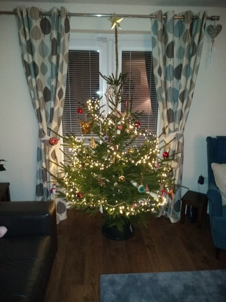 If you already have your tree up can I see it please?