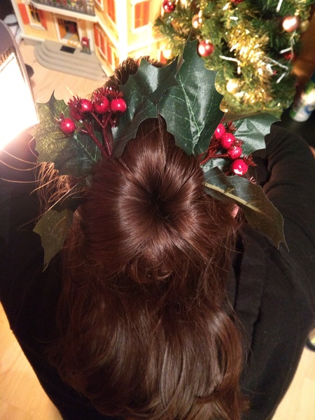 Fledglings Flying Festively - the December Flylady thread
