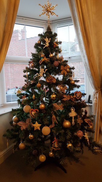 If you already have your tree up can I see it please?