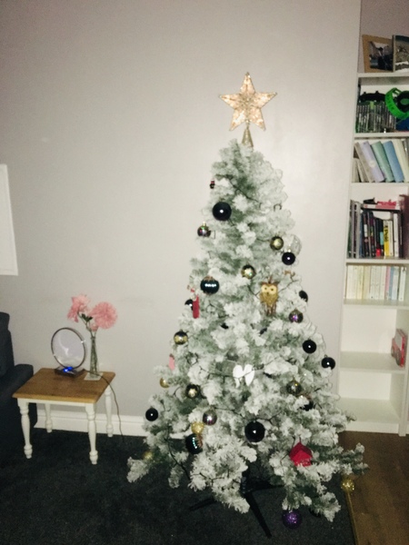 If you already have your tree up can I see it please?