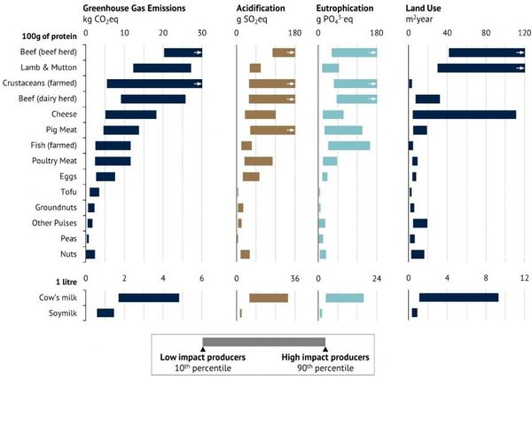 AIBU to be terrified by what David Attenborough has said?