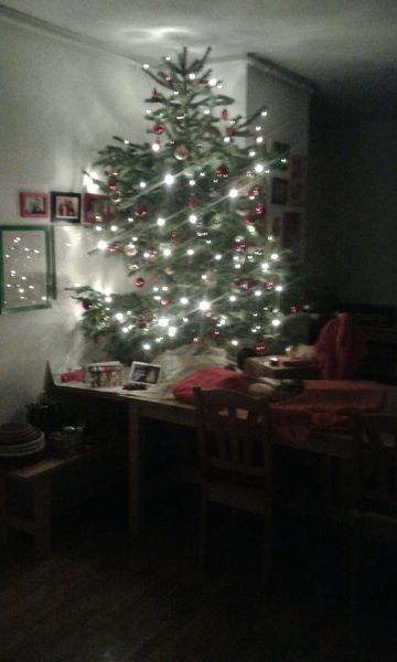 Lets see your trees 2018!