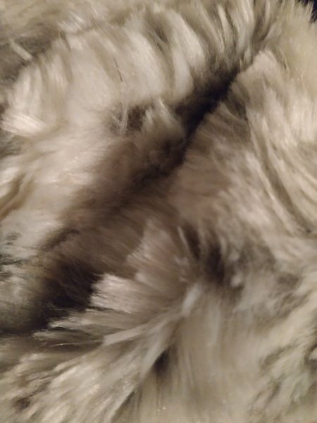 AIBU to ask if there has ever been a photo thread?
